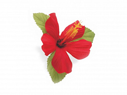 Цветок для велосипеда Electra Hawaii Flower Red